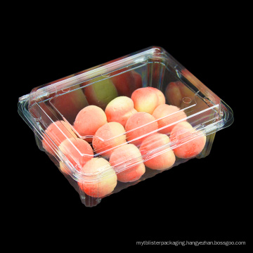 Disposable Plastic Fresh Food Fruit Container Packaging